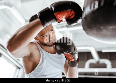 attenzione selettiva di un bel sportivo in pugilato guanti allenamento con sacco punzonatore Foto Stock