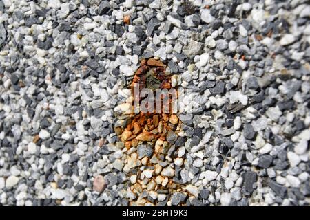 Parete coperta in piccole rocce blu e bianche che sanguinano ruggine da un foro. Foto Stock