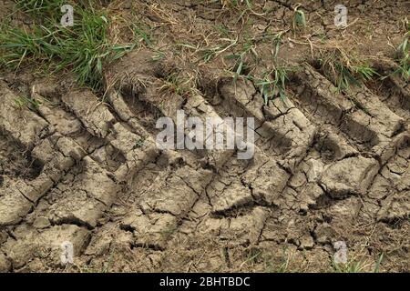 Tracce del battistrada di un veicolo su strada sporca Foto Stock