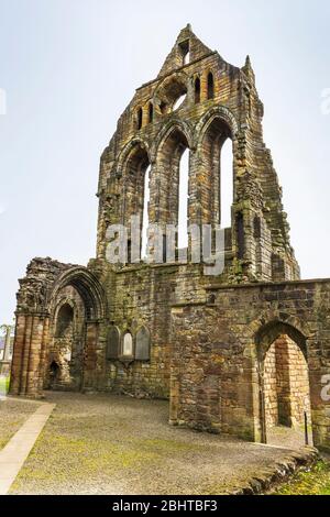 Resti del transetto sud sull'Abbazia di Kilwinning, costruita dai monaci benedettini tironensi alla fine del 1100 e distrutta dalla riforma protestante Foto Stock