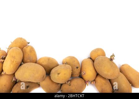 set di piantine di patate germogliate pronte per la piantagione - su sfondo bianco in studio Foto Stock