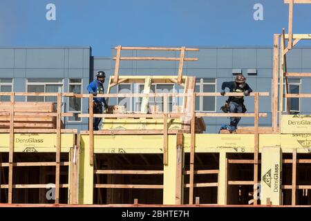 I lavoratori indossano maschere facciali in un cantiere di Seattle Ovest, mentre la costruzione riprende lunedì 27 aprile 2020. Per riprendere i progetti di costruzione residenziale e commerciale a basso rischio, è necessario rispettare le pratiche di sicurezza specifiche del cantiere COVID-19. Foto Stock