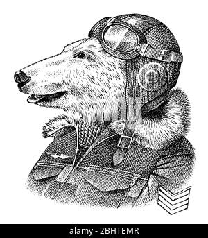 Orso polare vestito in su in pilota o aviatore. Flyboy o skyman. Schizzo del personaggio animale di moda. Antropomorfismo disegnato a mano. Illustrazione con incisione vettoriale Illustrazione Vettoriale