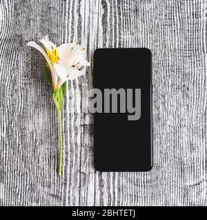 Bella alstroemeria fiore su sfondo legno. E telefono nero isolato per il testo. Foto Stock