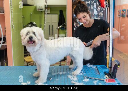 Ferrara, Italia. 27 aprile 2020. Riaprono i negozi di cura dei cani dopo il periodo di blocco a causa della covid19 pandemia a Ferrara. Credit: Filippo Rubin / Alamy Live News Foto Stock