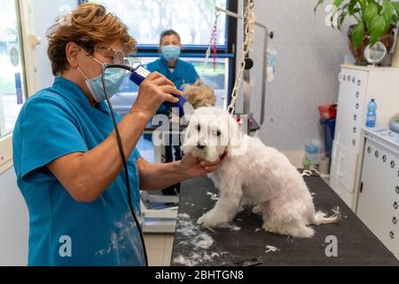 Ferrara, Italia. 27 aprile 2020. Riaprono i negozi di cura dei cani dopo il periodo di blocco a causa della covid19 pandemia a Ferrara. Credit: Filippo Rubin / Alamy Live News Foto Stock