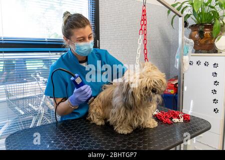 Ferrara, Italia. 27 aprile 2020. Riaprono i negozi di cura dei cani dopo il periodo di blocco a causa della covid19 pandemia a Ferrara. Credit: Filippo Rubin / Alamy Live News Foto Stock