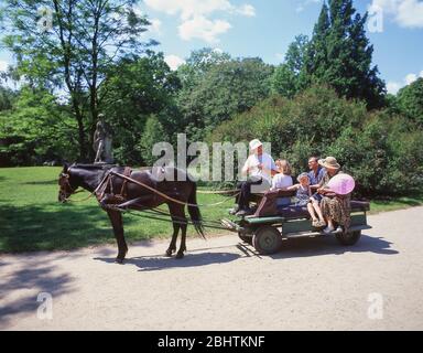 Corsa in buggy a cavallo, Parco Lazienki (Parco delle Terme reali), quartiere Centrale, Varsavia (Warszawa), Repubblica di Polonia Foto Stock