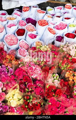 Fiori sul mercato dei fiori di Hong Kong Foto Stock