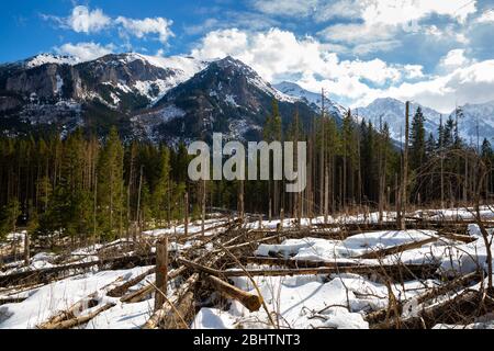 Vista impressionante delle cime rocciose dei monti Tatra ricoperti di neve a marzo Foto Stock