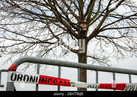 barriera intorno ad un albero infestato con falce di processione di quercia, cielo nuvoloso Foto Stock