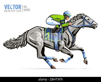 Fantino su cavallo da corsa. Sport. Derby. Isolato su sfondo bianco. Illustrazione vettoriale Illustrazione Vettoriale