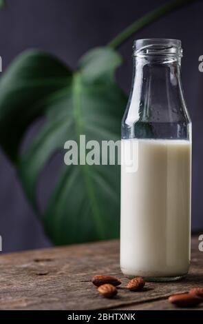 Latte di grano saraceno senza lattosio Foto Stock