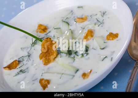 Tradizionale a freddo macedone zuppa di verdure con Tarator cetriolo, noci, l'aglio e yogurt Foto Stock