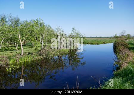 Paesaggio ricco d'acqua e terreno agricolo storico 'het groene hart' nella parte occidentale dei Paesi Bassi Foto Stock