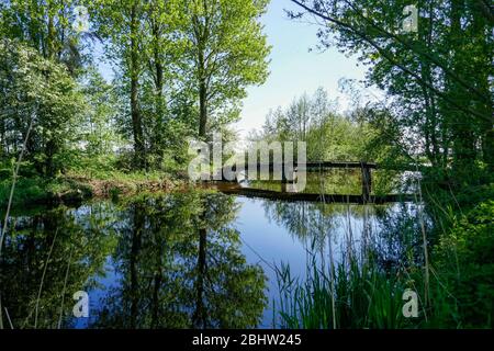 Paesaggio ricco d'acqua e terreno agricolo storico 'het groene hart' nella parte occidentale dei Paesi Bassi Foto Stock