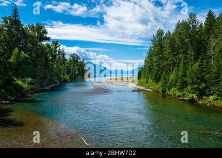 2312 Lake McDonald visto da McDonald Creek - Johns Lake Trail - PNL Foto Stock