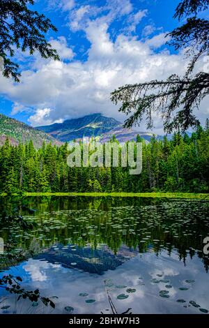 2289 mattina sole illumina le montagne che torreggiano sopra il lago Johns lungo il percorso del Glacier National Park. Foto Stock