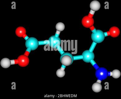 Un modello di acido glutammico, un amminoacido. Ha una funzione importante nel metabolismo e nella neurotrasmissione delle cellule. Foto Stock