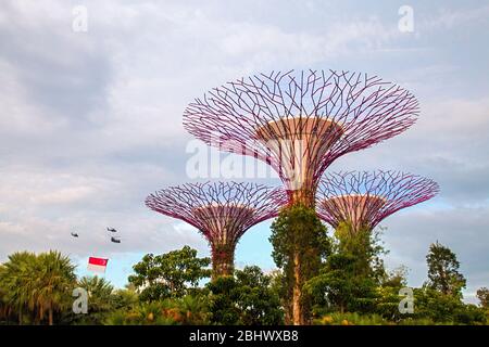 Illuminata super boschetti di alberi nella baia di Giardini anteriore noto anche come giardini dalla baia di notte,bay anteriore,marina bay,Singapore,PRADEEP SUBRAMANIAN Foto Stock