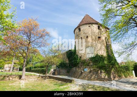 Hartberg: Torre cinta muraria della città Reckturm, in Steirisches Thermenland - Oststeiermark, Steiermark, Stiria, Austria Foto Stock