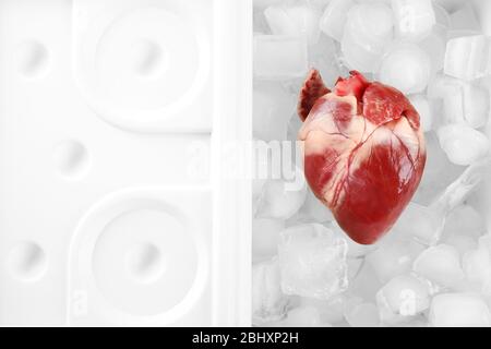 Primo piano organo cardiaco in frigo Foto Stock