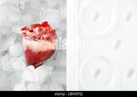 Primo piano organo cardiaco in frigo Foto Stock