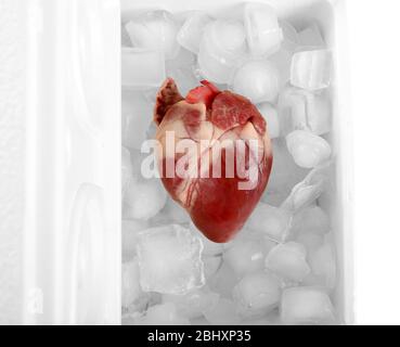 Primo piano organo cardiaco in frigo Foto Stock