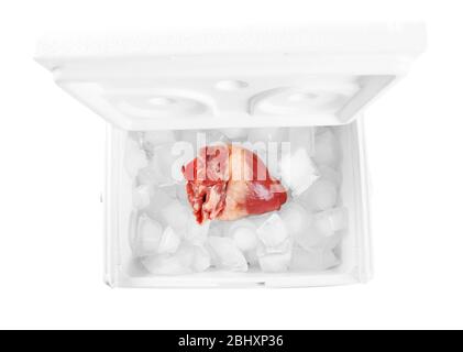 Organo cardiaco in frigorifero isolato su bianco Foto Stock