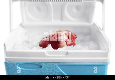 Primo piano organo cardiaco in frigo Foto Stock