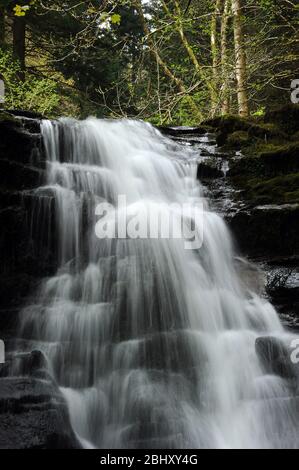 Penultima cascata sul Nant Bwrefwr. Foto Stock