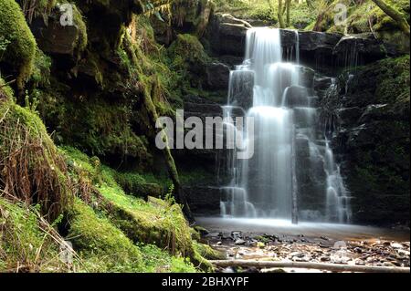 La terza ed ultima piccola cascata tra la cascata e la cascata principale sul Nant Bwrefwr. Foto Stock