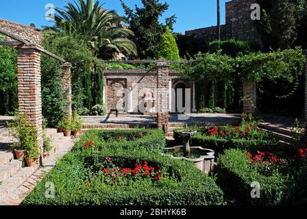 Giardini del cortile del fornitore al castello di Malaga, Malaga, provincia di Malaga, Andalusia, Spagna, Europa occidentale. Foto Stock