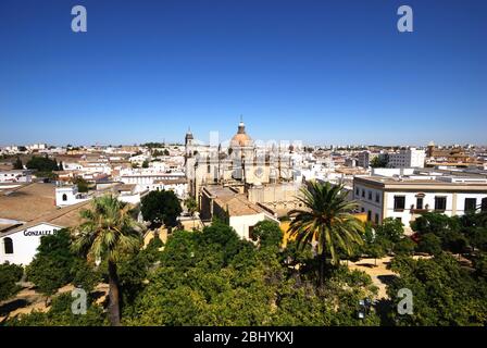 Skyline della città con la cattedrale (Catedral San Salvador) nel centro di Jerez de la Frontera, la provincia di Cadiz Cadice, Andalusia, Spagna. Foto Stock