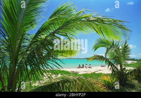 Piccolo gruppo di turisti su spiaggia bianca con mare turquido incorniciato da palme: Spiaggia di Natadola, viti Levu, Figi Foto Stock