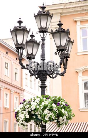 Disposizione dei fiori su lampione su sfondo degli edifici Foto Stock