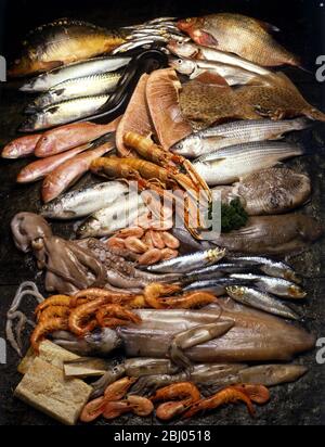 Carpa, anchovie, orata d'acqua dolce, sgombro, anguilla, merlano, Mullett rosso, bistecca di pesce di tonno, Wings of Skate, trota arcobaleno, gamberi della baia di Dublino, Mullett grigio. Polpo, gamberi, seppie, sogliola, sardi, gamberi, calamari giganti e calamari per bambini, pesci salati. Foto Stock