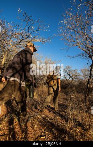 Volontari con pattugliamenti anti-poaching a Timbavati Game Reserve, Sudafrica Foto Stock