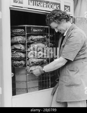 Questa macchina per uova vende funghi. A 2 shillings una mezza libbra vende come torte calde in questa macchina dell'uovo. Il coltivatore, il signor D. F. Stay di Littlewood Farm, Singleton, Sussex, ha installato la macchina vicino al suo cancello della fattoria sulla Midhurst-Chichester Road. Appena una piccola conversione al distributore automatico normale dell'uovo, più una tettoia per mantenerlo freddo e potete riempirlo e dimenticarlo dice il primo. Contiene 60 sacchetti da mezzo libbra e deve essere riempito due volte al giorno. In precedenza qualcuno doveva occuparsi di vendite dirette - ma questo rilascia l'addetto - che è libero di andare avanti con la fornitura dei mercati generali. - (foto Foto Stock