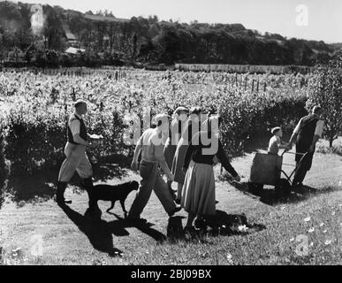 Nessuna didascalia. - Picture show: Uomini donne e bambini che camminano attraverso la vigna con il loro cane e un barile. Foto Stock