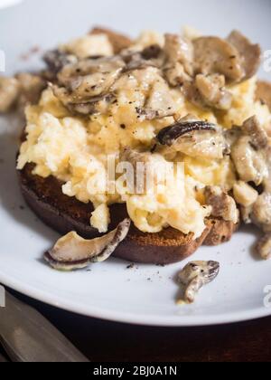 Funghi porcini selvaggi (cep) su toast senza glutine Foto Stock