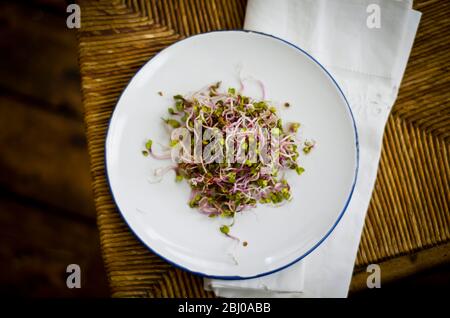 Semplice insalata realizzata in Cina è salito il Ravanello la germogliazione di semi, conditi con salsa di soia e aceto di riso. Foto Stock