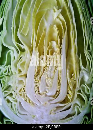 Faccia tagliata di cavolo di dolciume dimezzato - Foto Stock