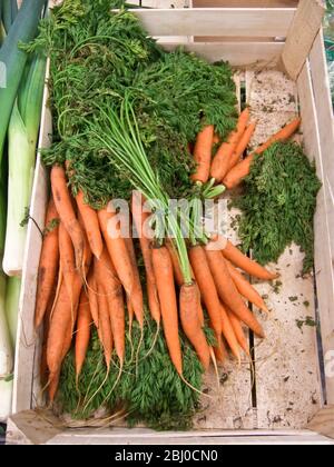 Mazzi di carote in vendita nel negozio di campagna svedese - Foto Stock