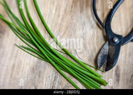 Taglio erba cipollina su superficie di legno con forbici giapponesi - Foto Stock