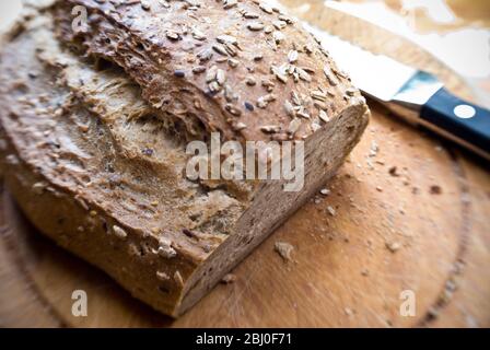 Affettare una focaccia di segale, segale e noce su un vecchio asse di legno. - Foto Stock