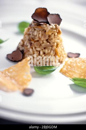Risotto di funghi servito come piramide con foglie di basilico e scaglie di parmigiano e tartufi neri su piatto bianco - Foto Stock