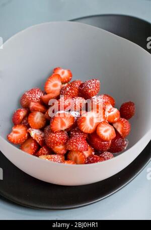 Fragole, spolverate e dimezzate in ciotola, spolverate con zucchero a velo. - Foto Stock