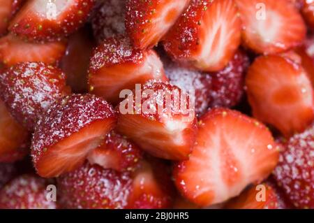 Fragole, spolverate e dimezzate in ciotola, spolverate con zucchero a velo. - Foto Stock