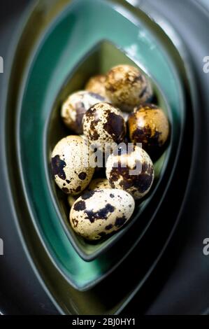 Uova di quaglia nei loro gusci in ciotole verde scuro accatastate - Foto Stock